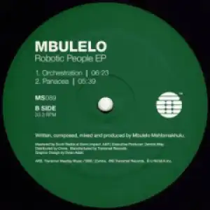 The Robotic People BY Mbulelo